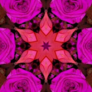 Meet your Posher, Christen